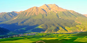 甘肅建投生態(tài)建設(shè)集團(tuán)有限公司隸屬于中國(guó)500強(qiáng)企業(yè)—甘肅省建設(shè)投資（控股）集團(tuán)有限公司，是甘肅建投貫徹落實(shí)“五位一體”總體布局和新發(fā)展理念，推進(jìn)生態(tài)治理板塊發(fā)展的新業(yè)態(tài)公司。