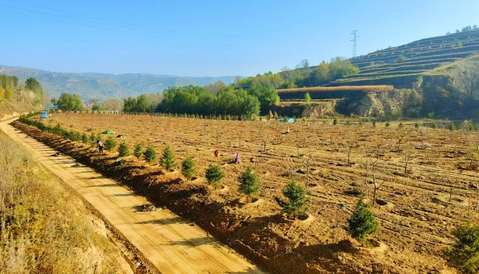 和政縣垃圾填埋場(chǎng)封場(chǎng)工程順利推進(jìn)