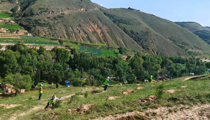 臨洮生態(tài)修復(fù)項(xiàng)目開啟“雙線作戰(zhàn)”模式